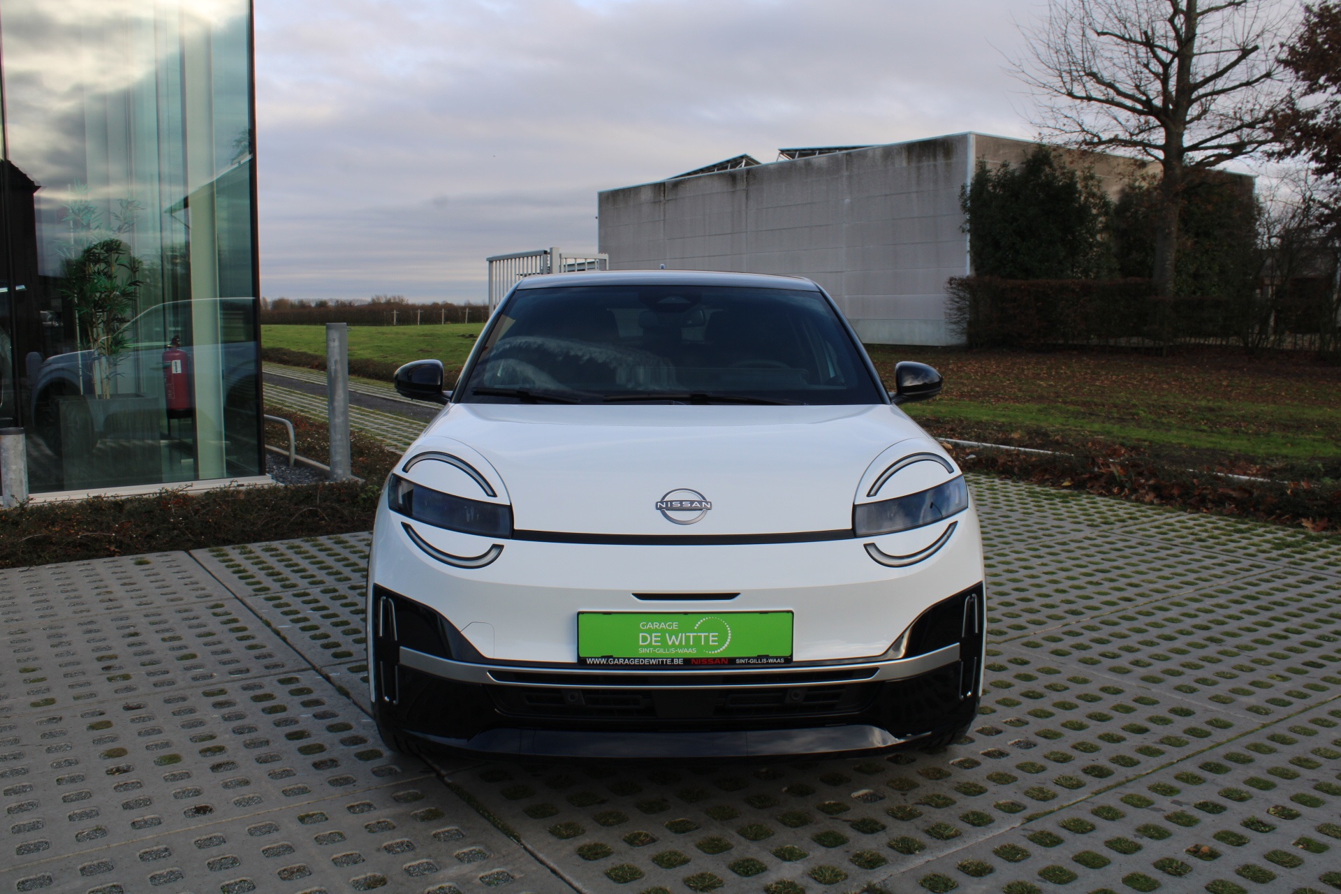 Nissan Micra 40kWh Advance + Cold Pack + Bi Tone